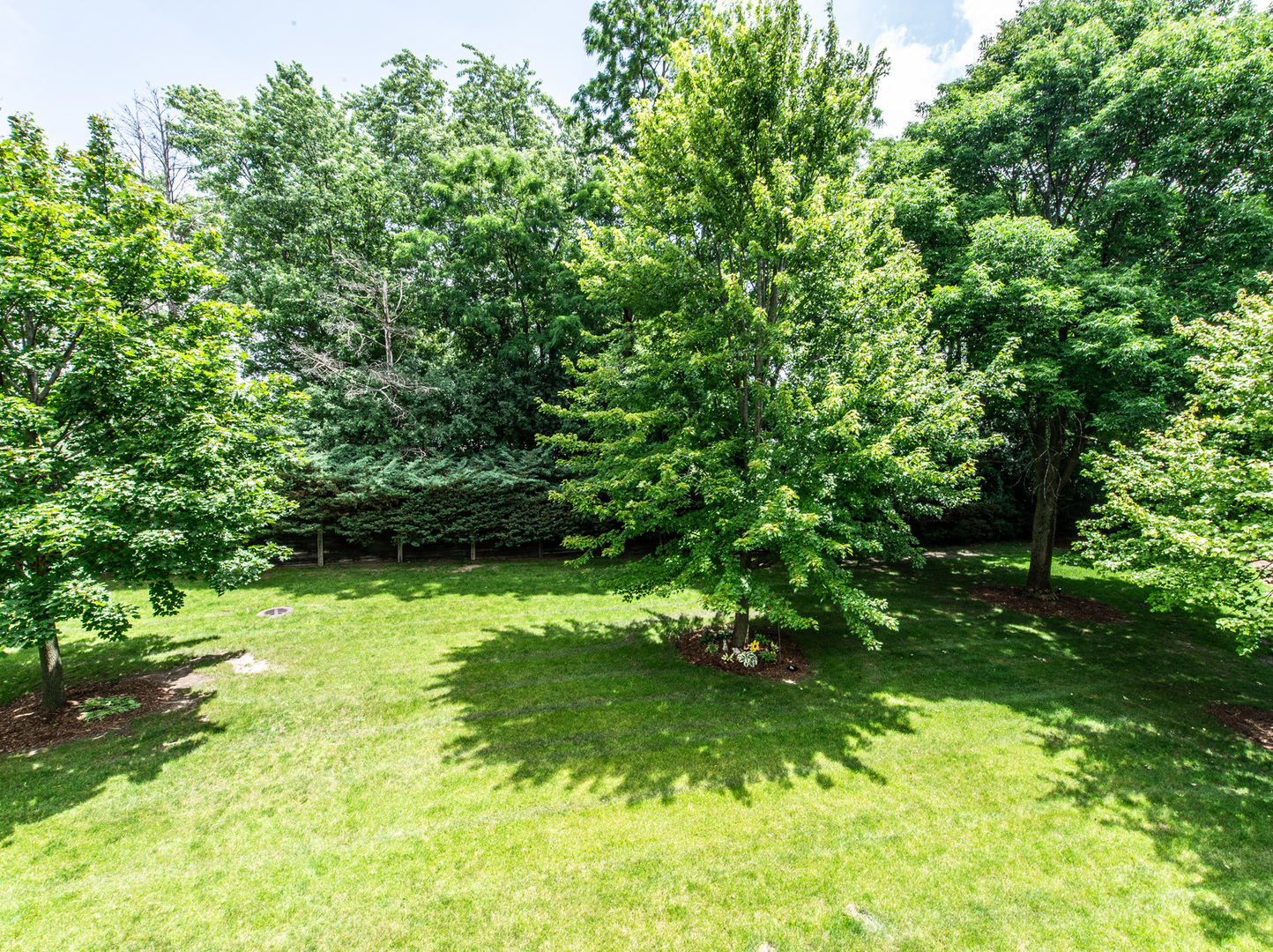 1857 W Ashbury Lane 3-6 Property Photo 33
