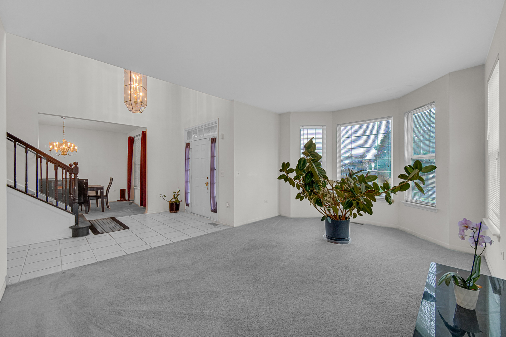 184 Fox Bend Circle Property Photo 7