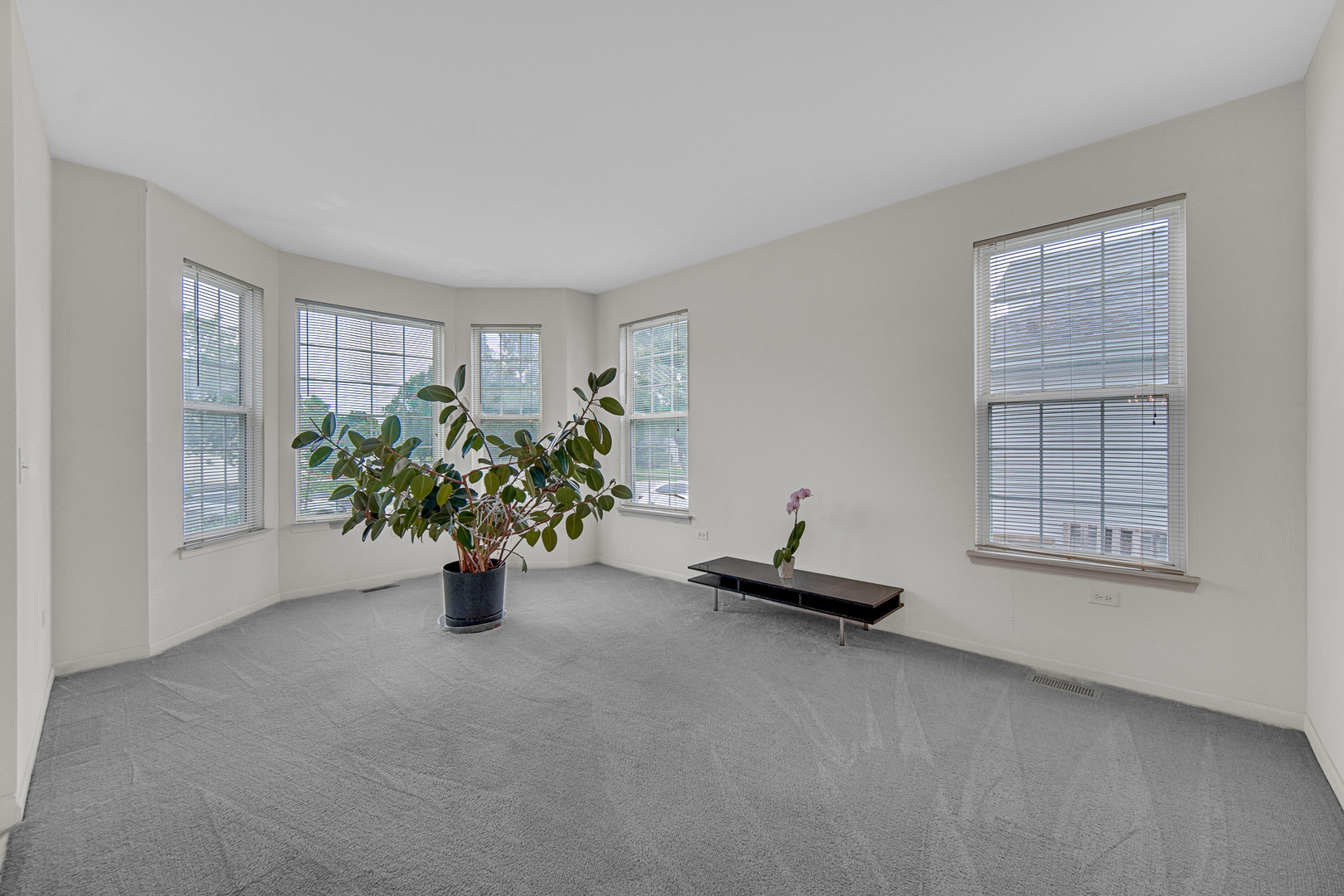 184 Fox Bend Circle Property Photo 8