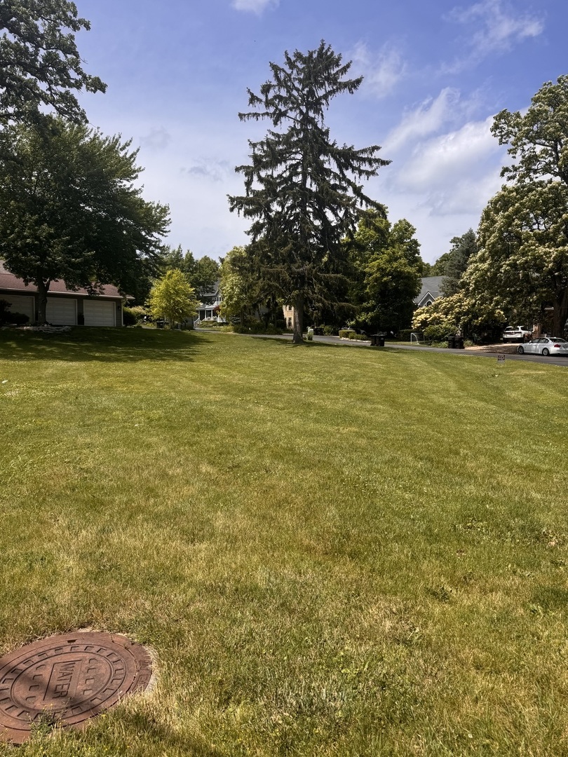 0 Lois Lane Property Photo 5