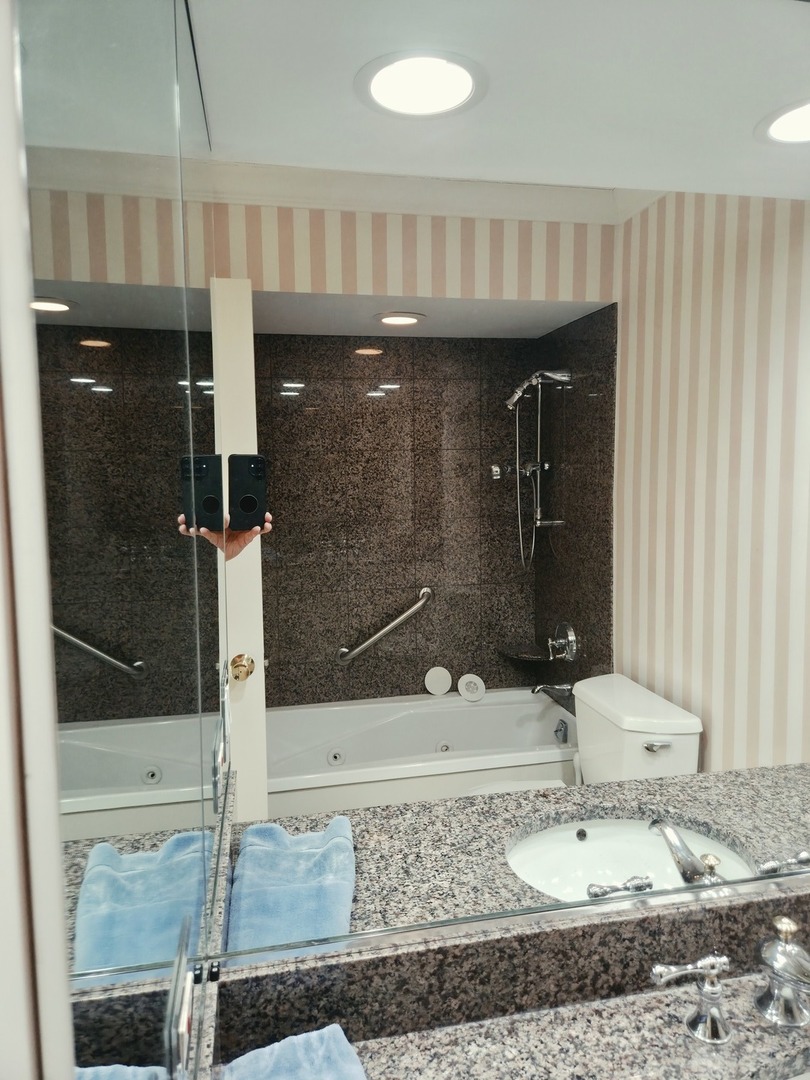1560 N Sandburg Terrace 2901j Property Photo 19