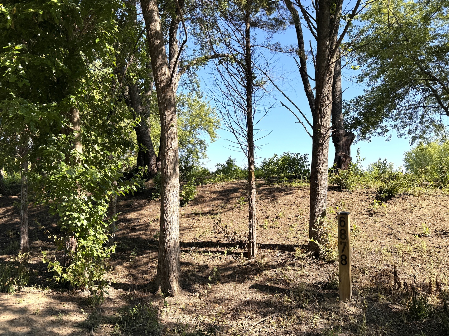6878 September Boulevard Property Photo 2