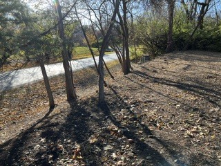 6878 September Boulevard Property Photo 8