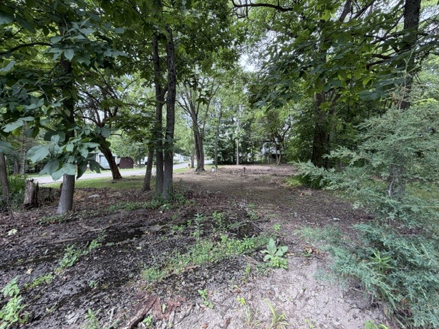 2795 E 28th Lot 366 Road Property Photo 4