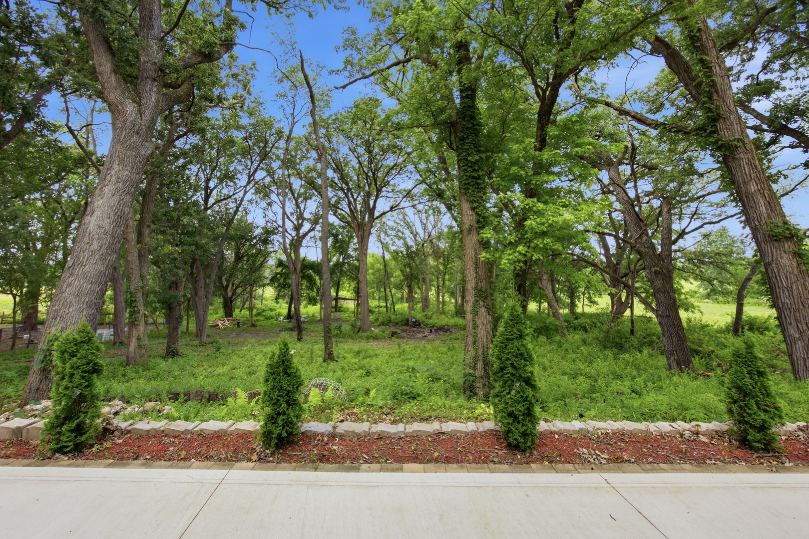 37w961 Bowes Road Property Photo 41