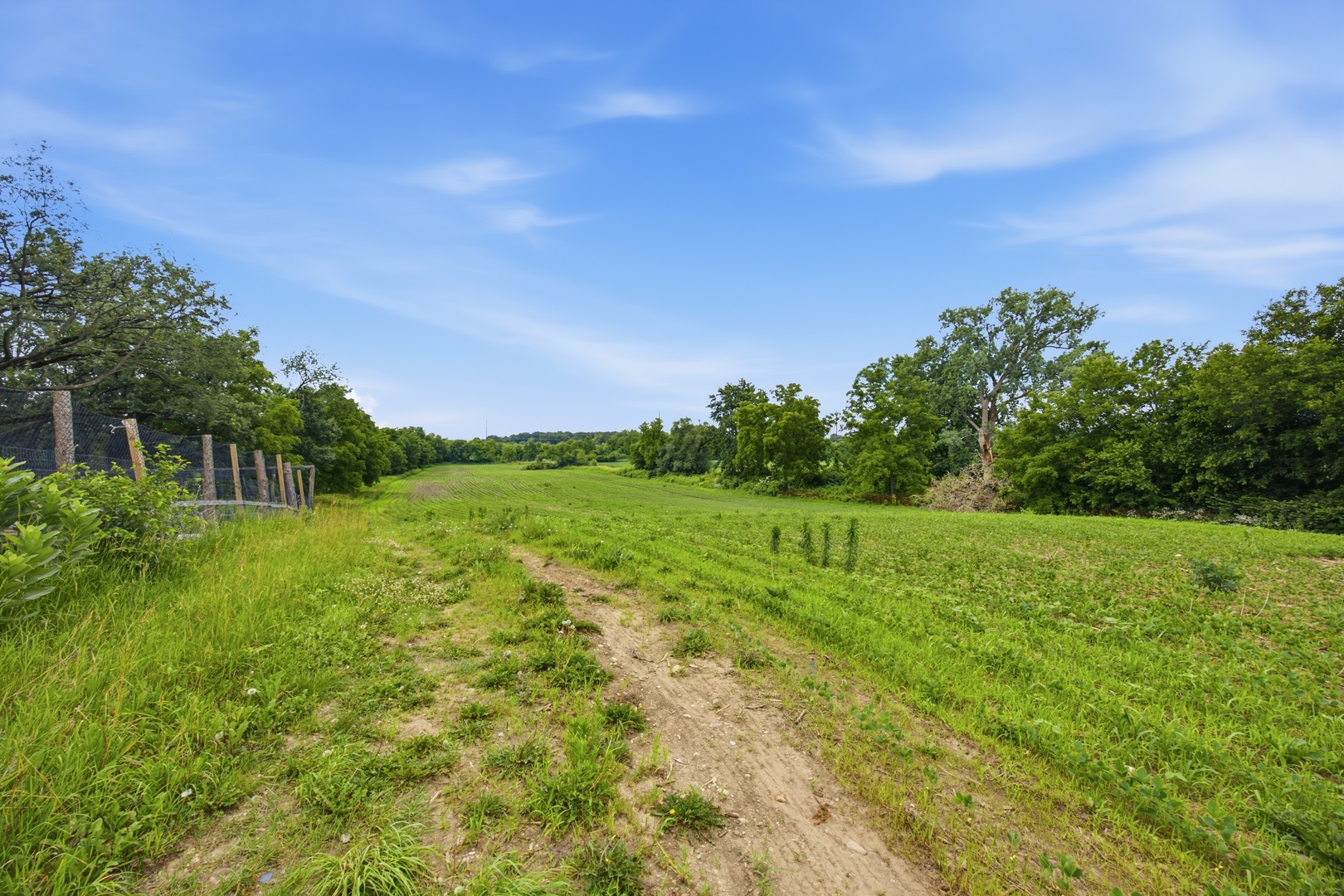 37w961 Bowes Road Property Photo 45