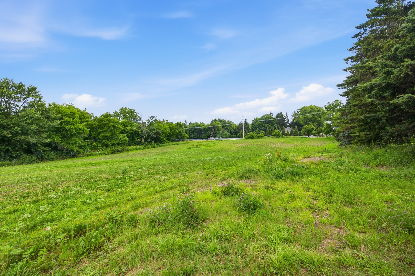 37w961 Bowes Road Property Photo 46
