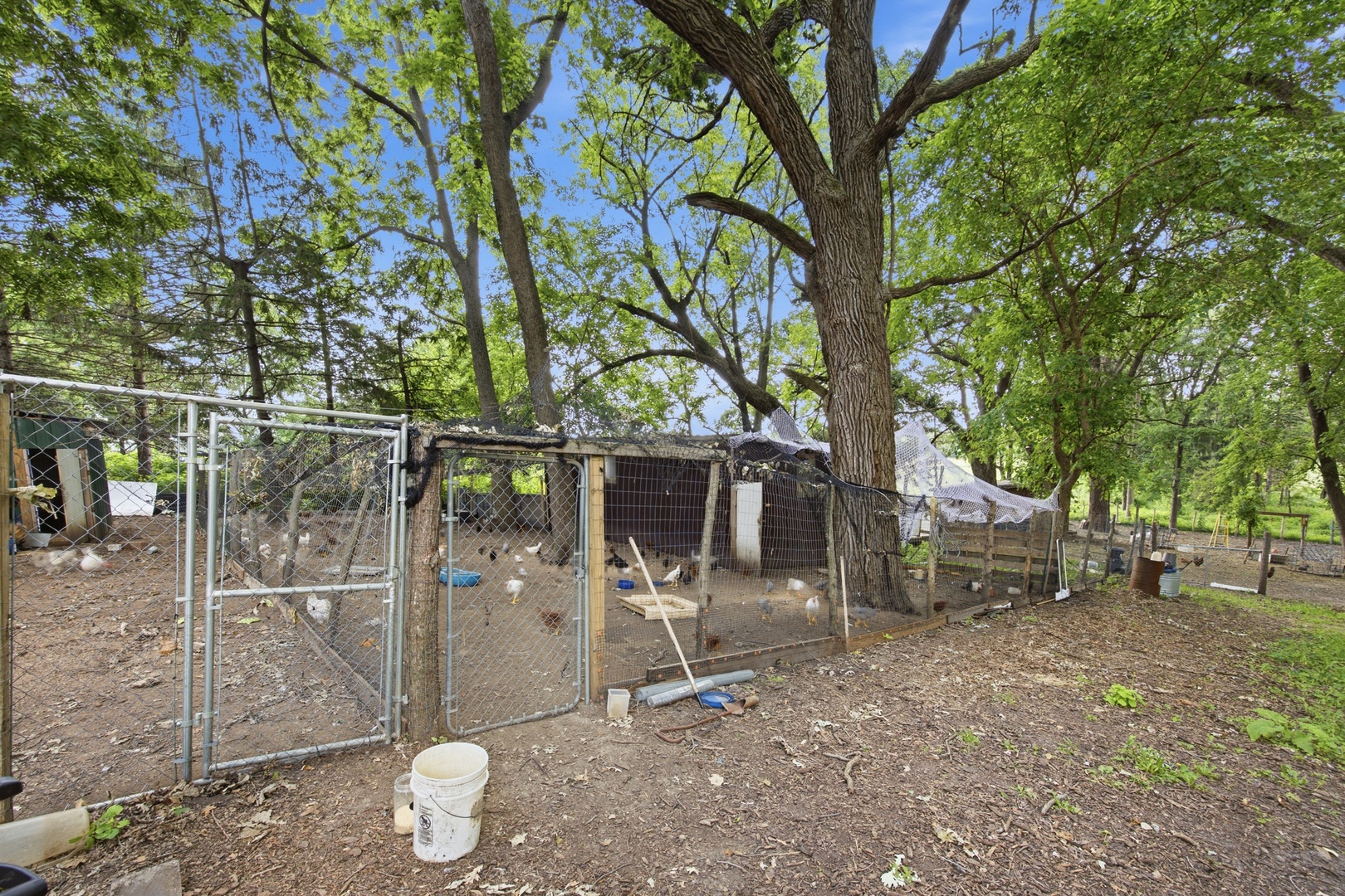 37w961 Bowes Road Property Photo 50