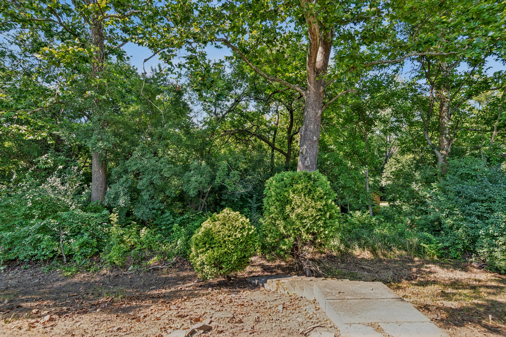 1124 59th Street Property Photo 24