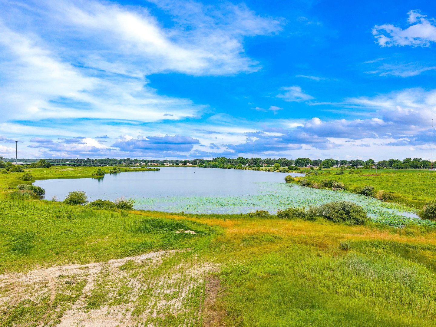 12695542 Property Photo 18