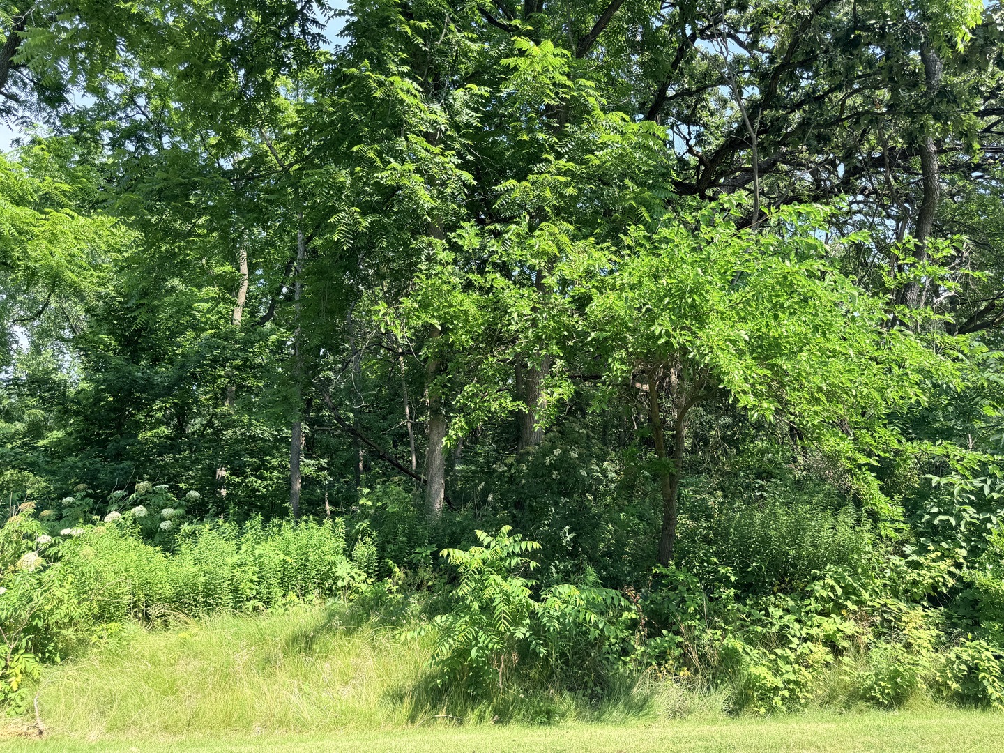 26642 N Il Route 83 Property Photo 5