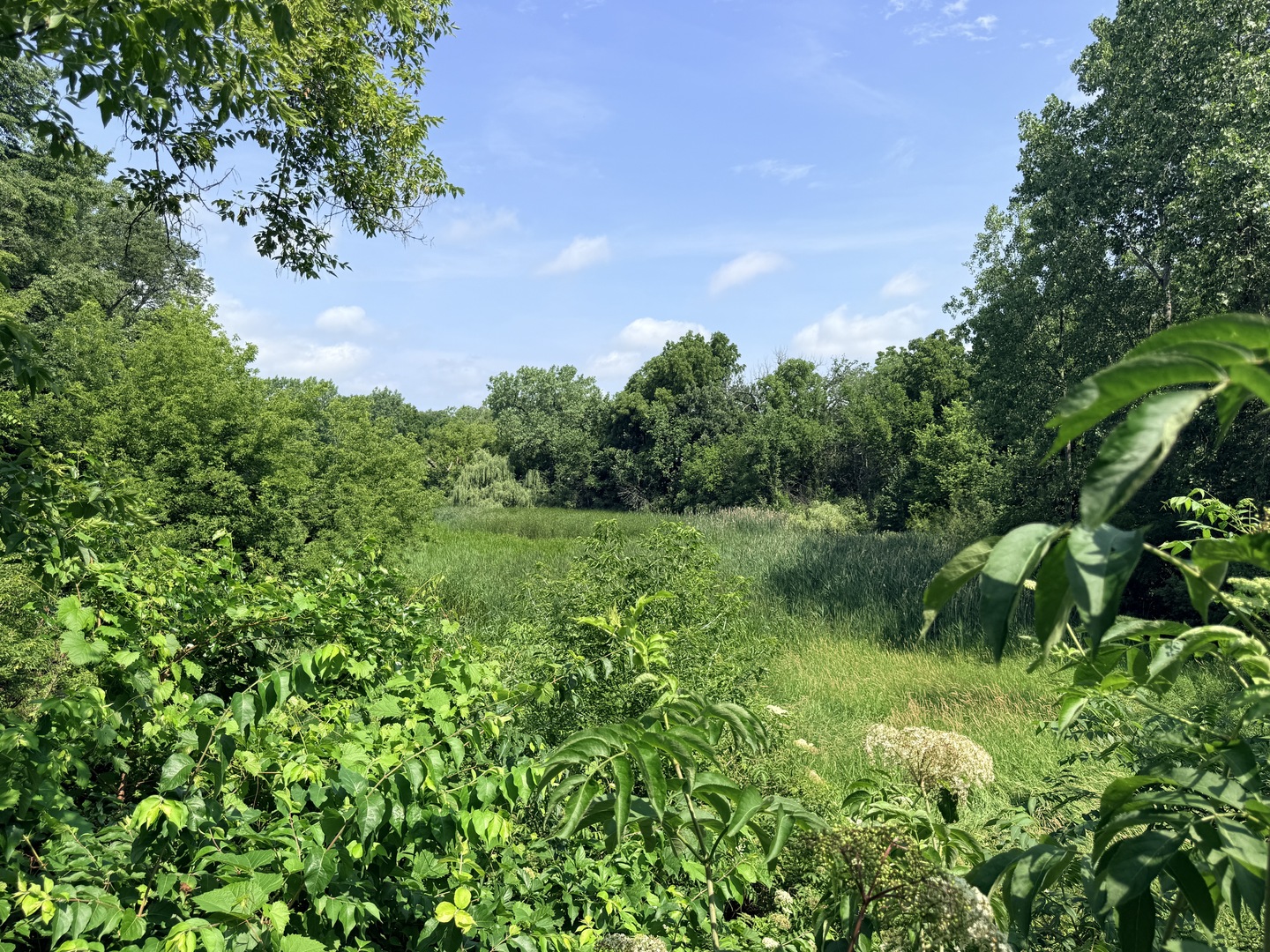 26642 N Il Route 83 Property Photo 8