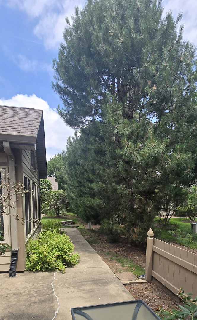 1988 Timberview Drive Property Photo 32