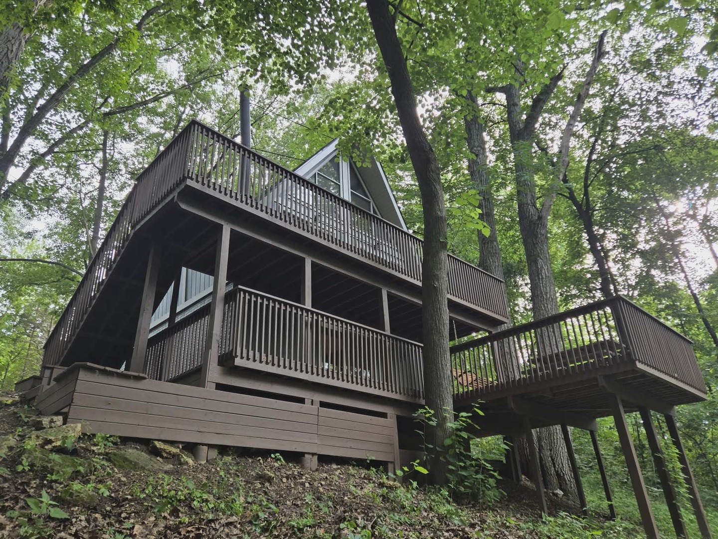 5 Mosswood Path Property Photo 5