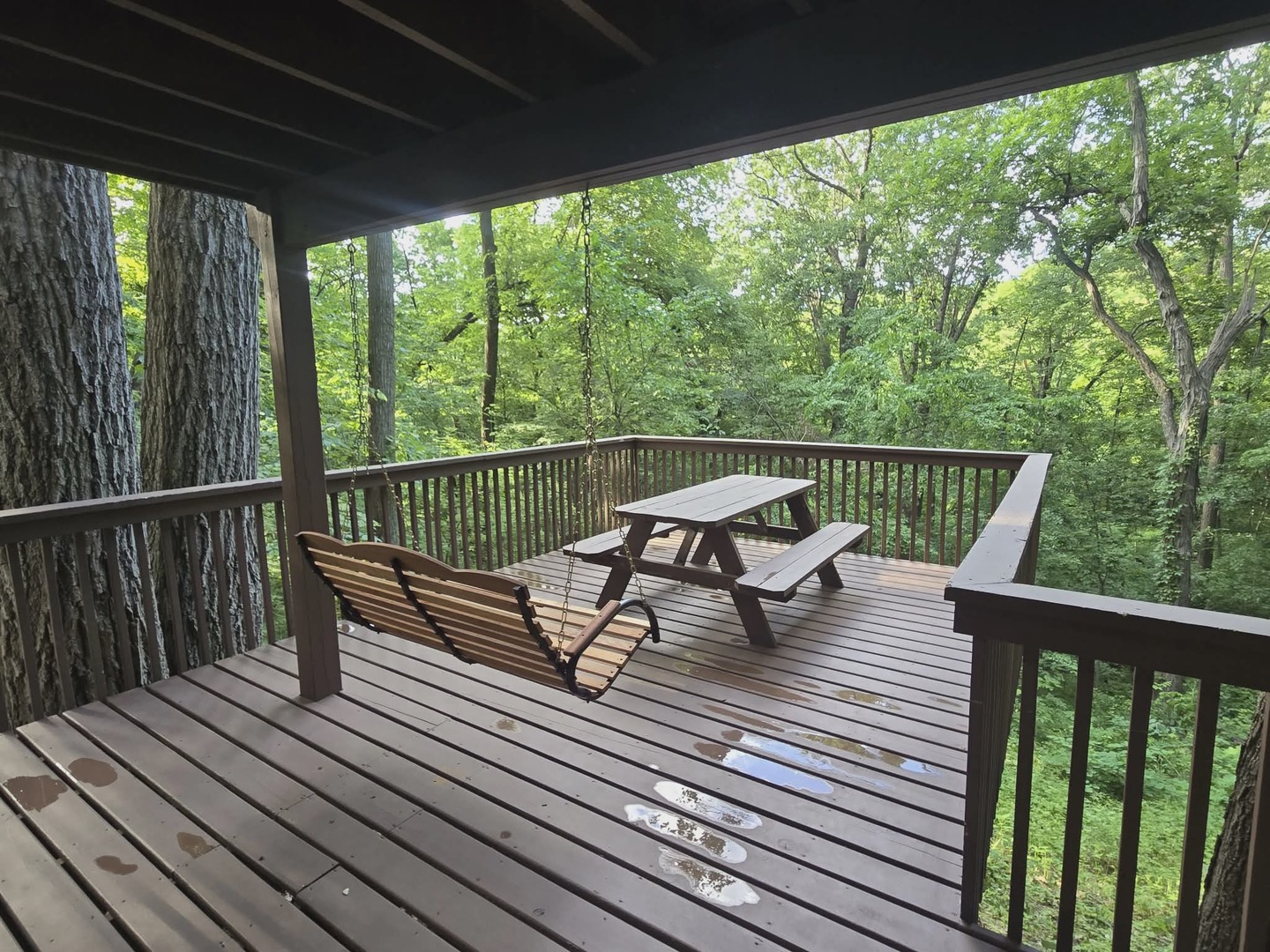 5 Mosswood Path Property Photo 10