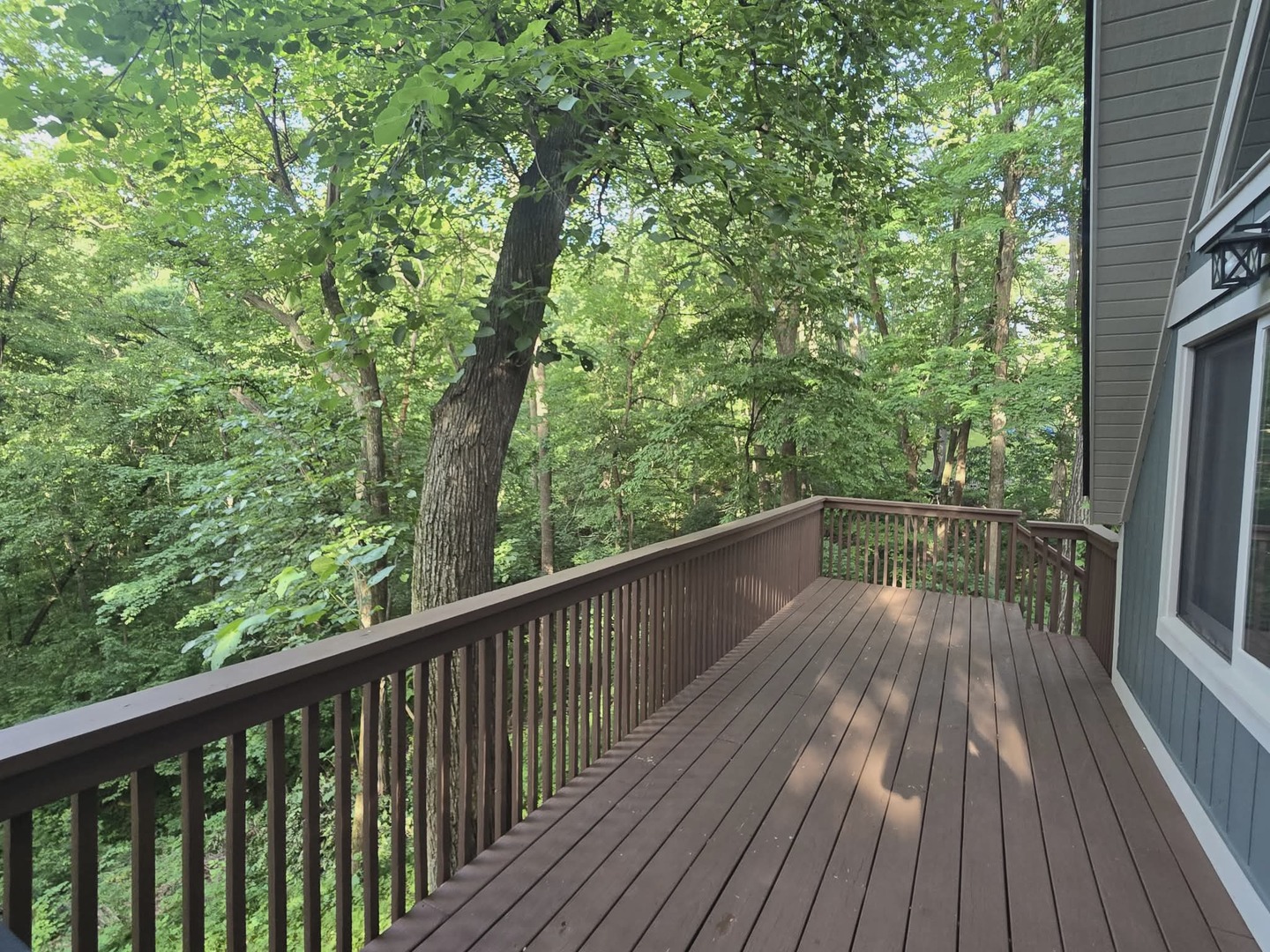 5 Mosswood Path Property Photo 11