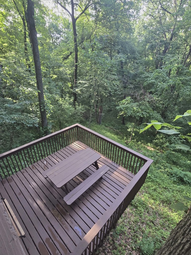 5 Mosswood Path Property Photo 12