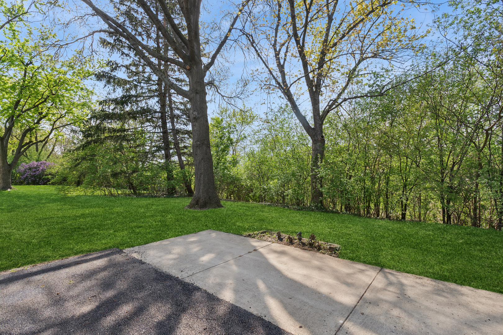 22644 Lakeshore Drive Property Photo 20