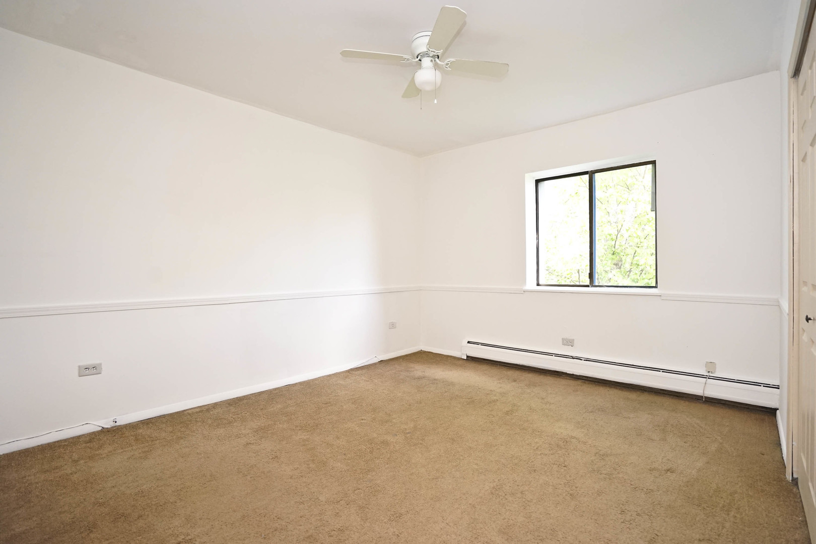 12696149 Property Photo 19