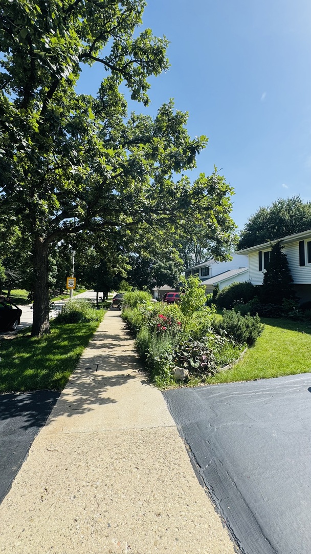 3220 Saratoga Avenue Property Photo 4