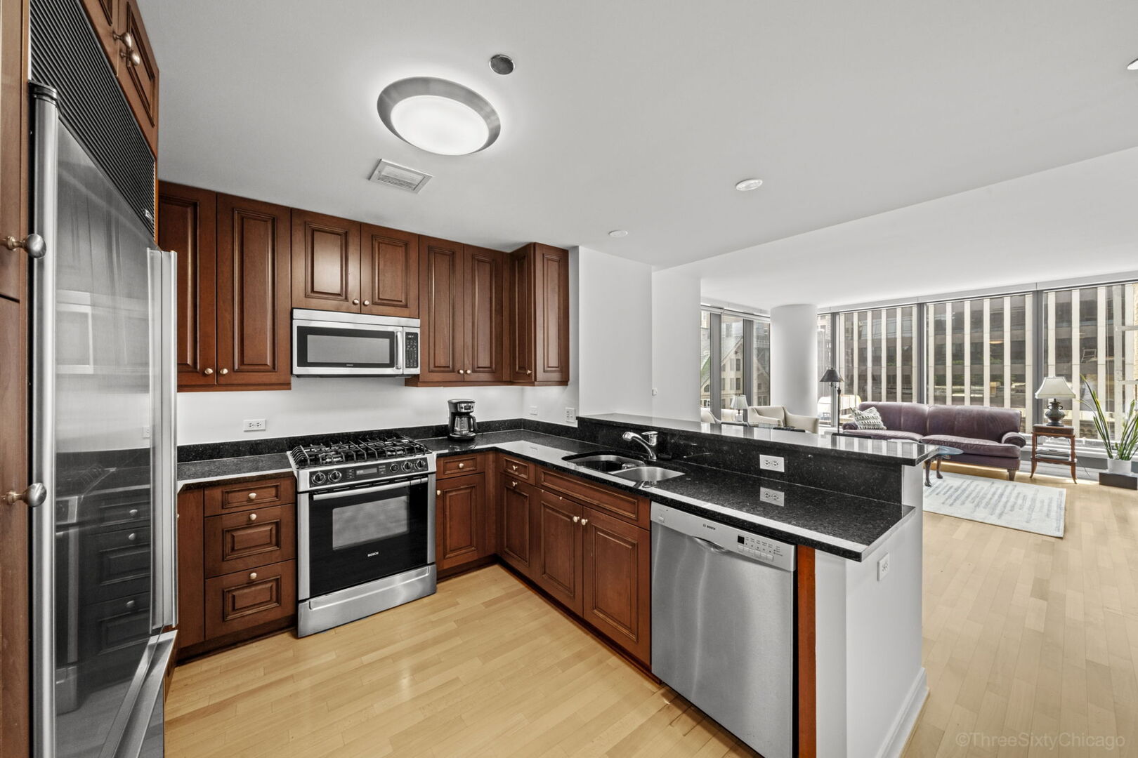 60 E Monroe Street 1604 Property Photo 13
