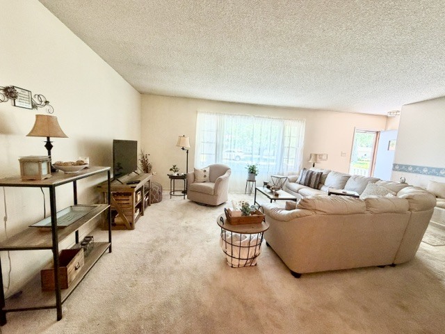 1100 Meadowview Drive Property Photo 3