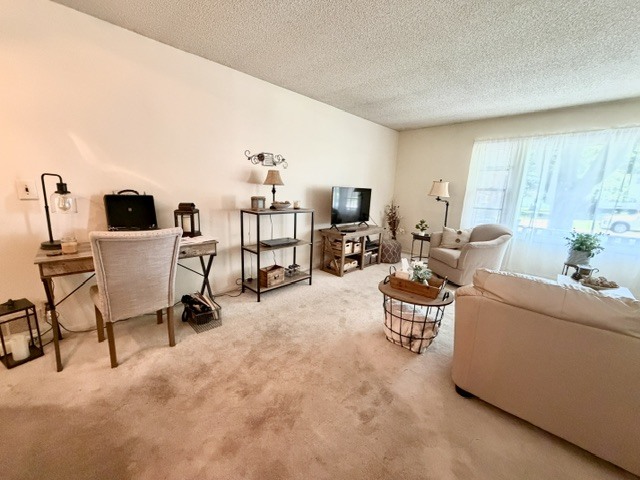 1100 Meadowview Drive Property Photo 5
