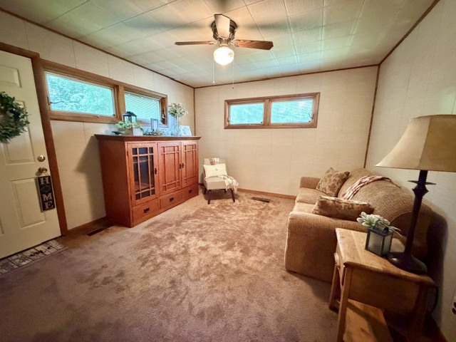 1100 Meadowview Drive Property Photo 7
