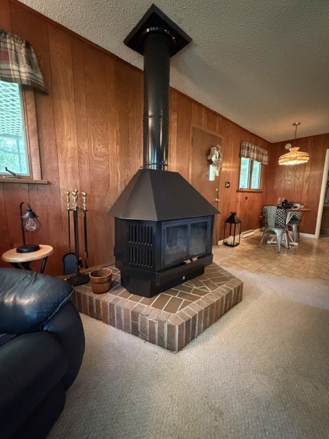 1100 Meadowview Drive Property Photo 13