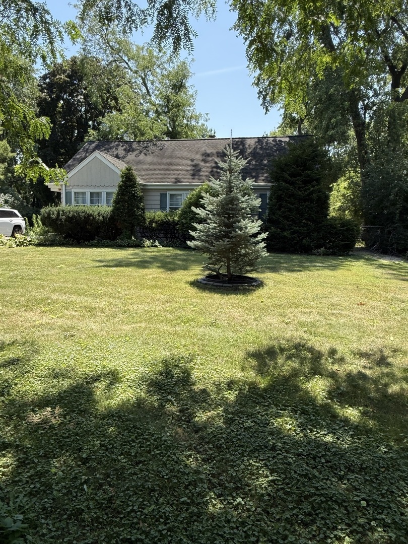 47 W Algonquin Road Property Photo 41