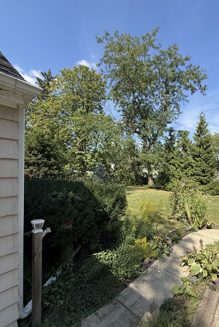 47 W Algonquin Road Property Photo 63