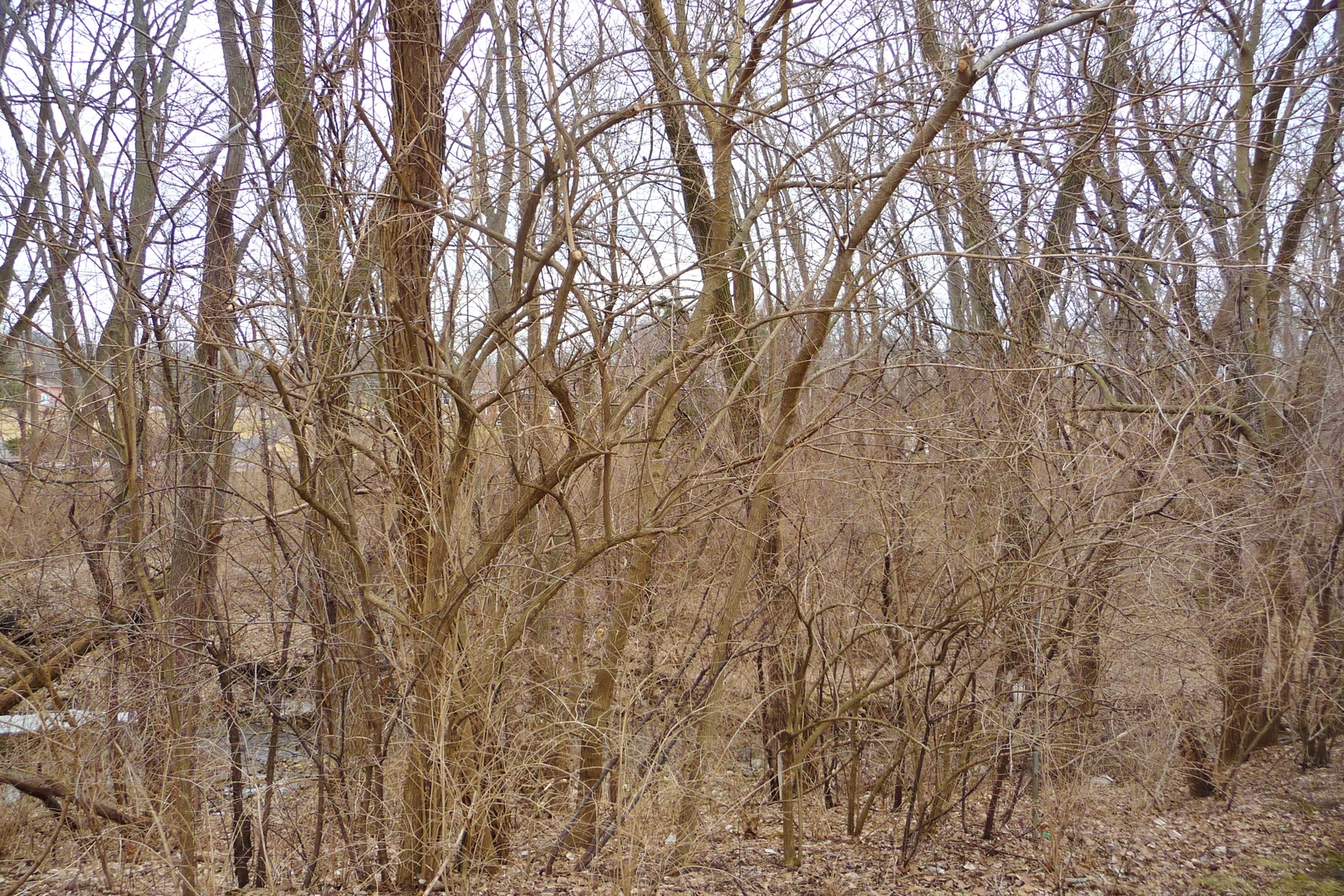 5303 Sandpiper Place Property Photo 17