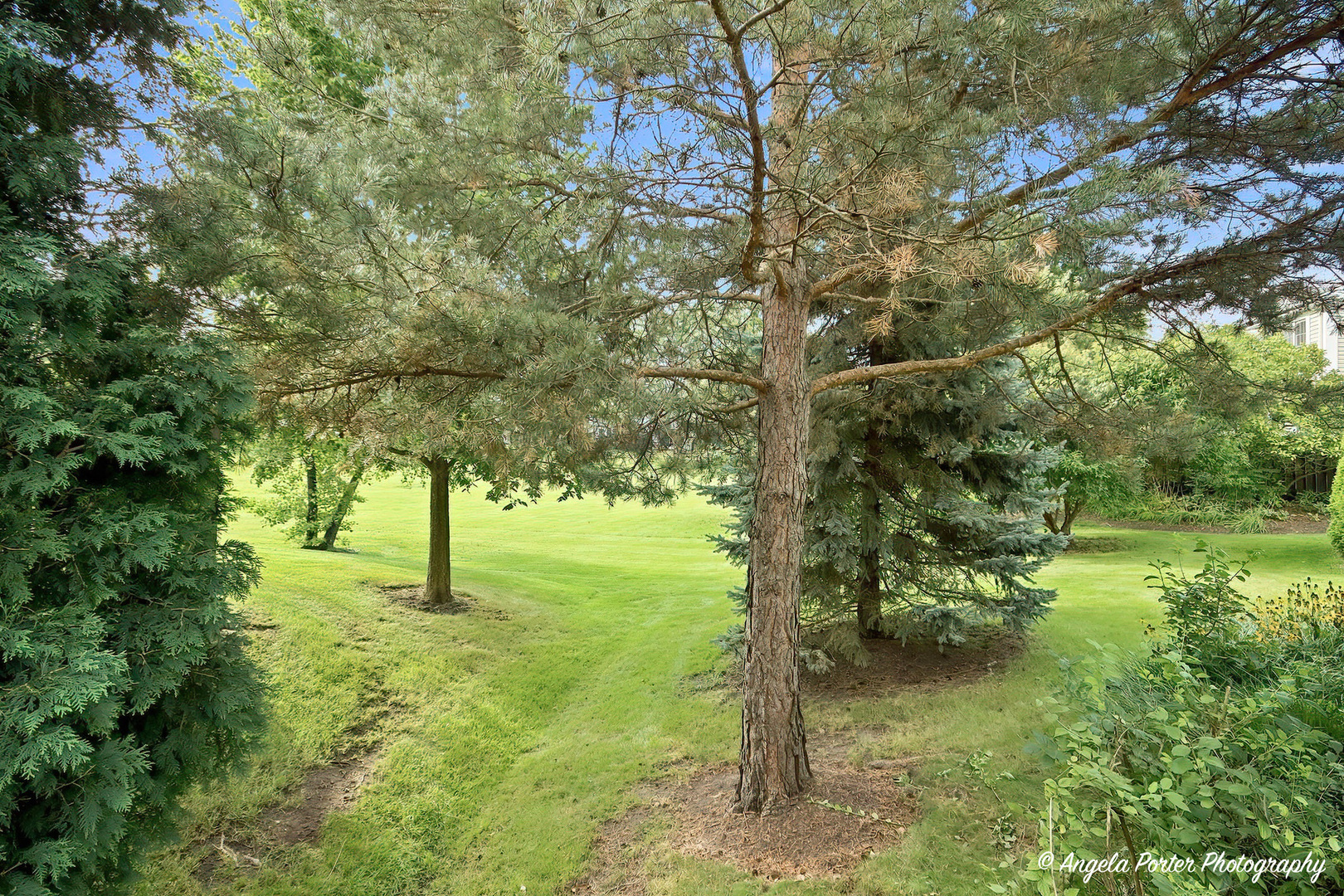 827 Stonebridge Lane Property Photo 37