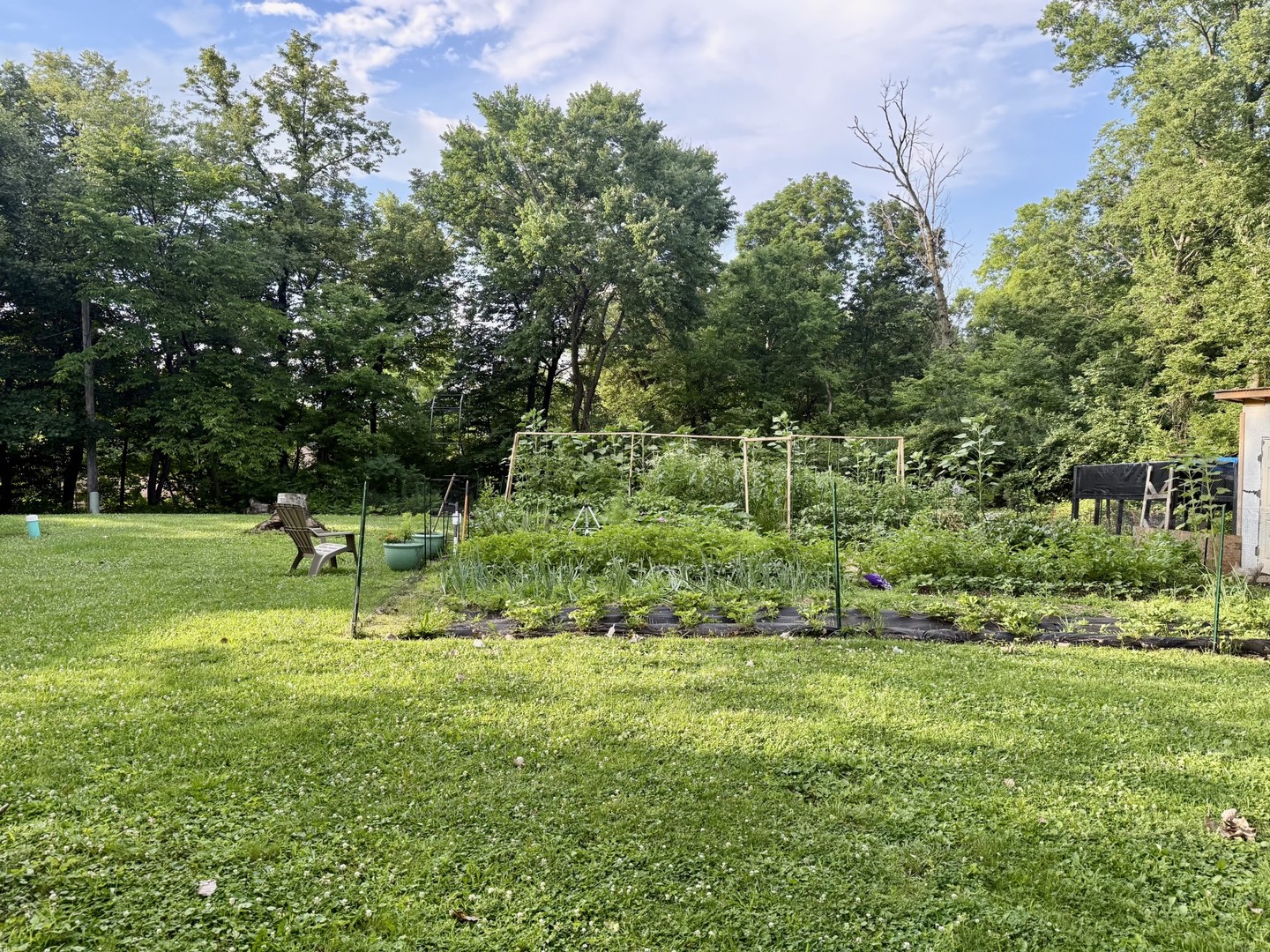 3 Trexler Avenue Property Photo 31