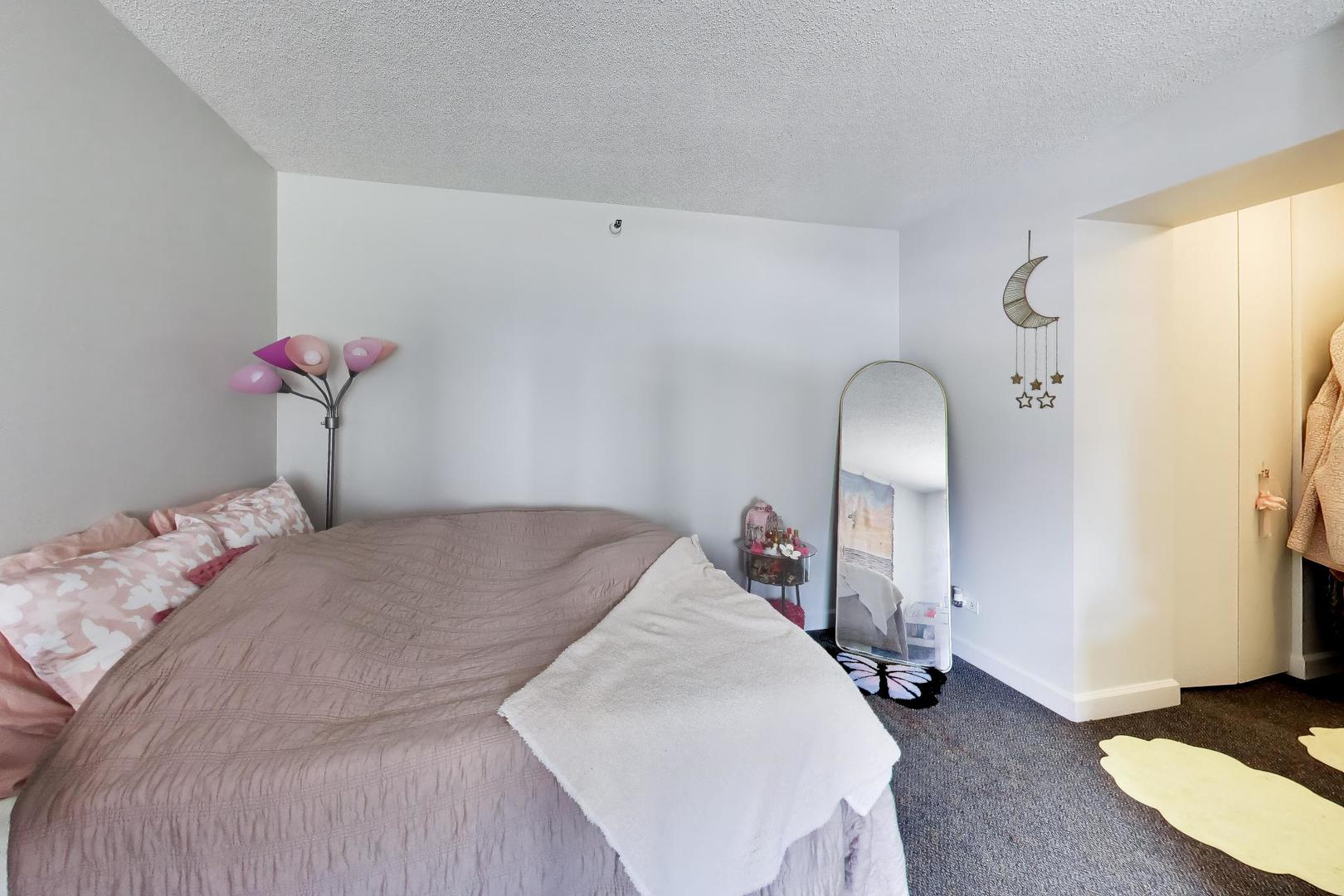 3660 N Lake Shore Drive 909 Property Photo 10