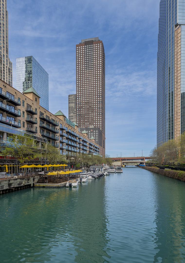 474 N Lake Shore Drive 2007 Property Photo 1