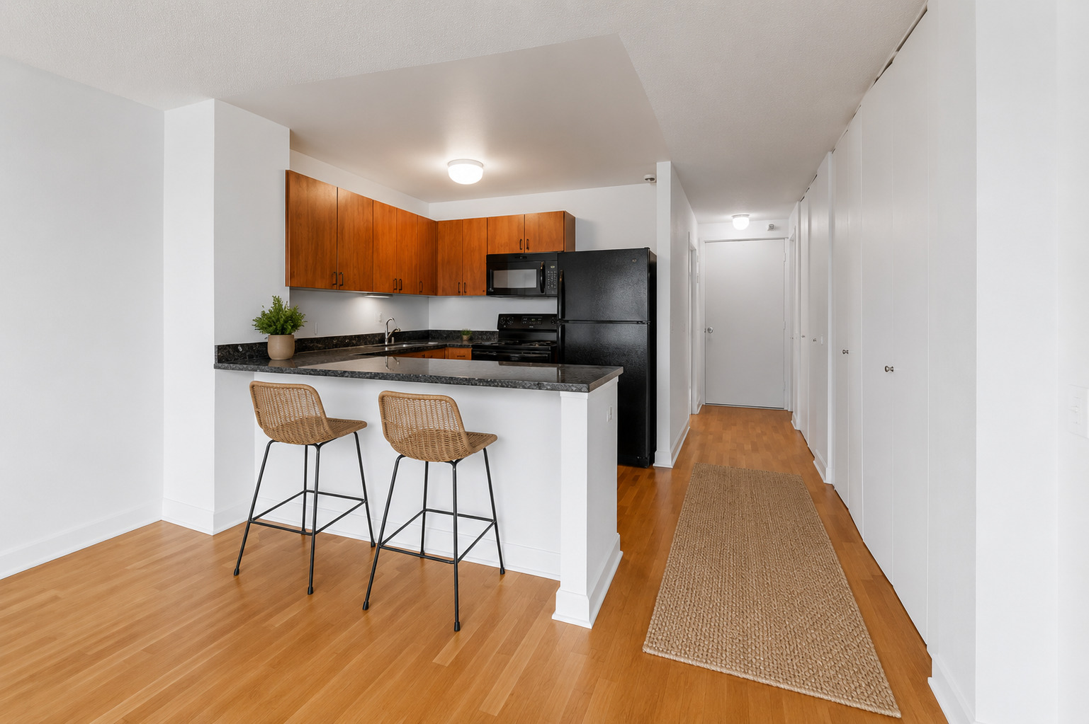 474 N Lake Shore Drive 2007 Property Photo 3
