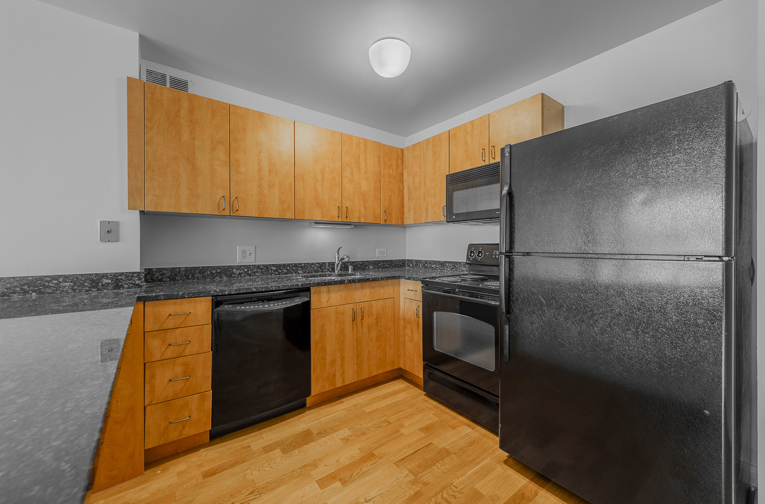 474 N Lake Shore Drive 2007 Property Photo 4
