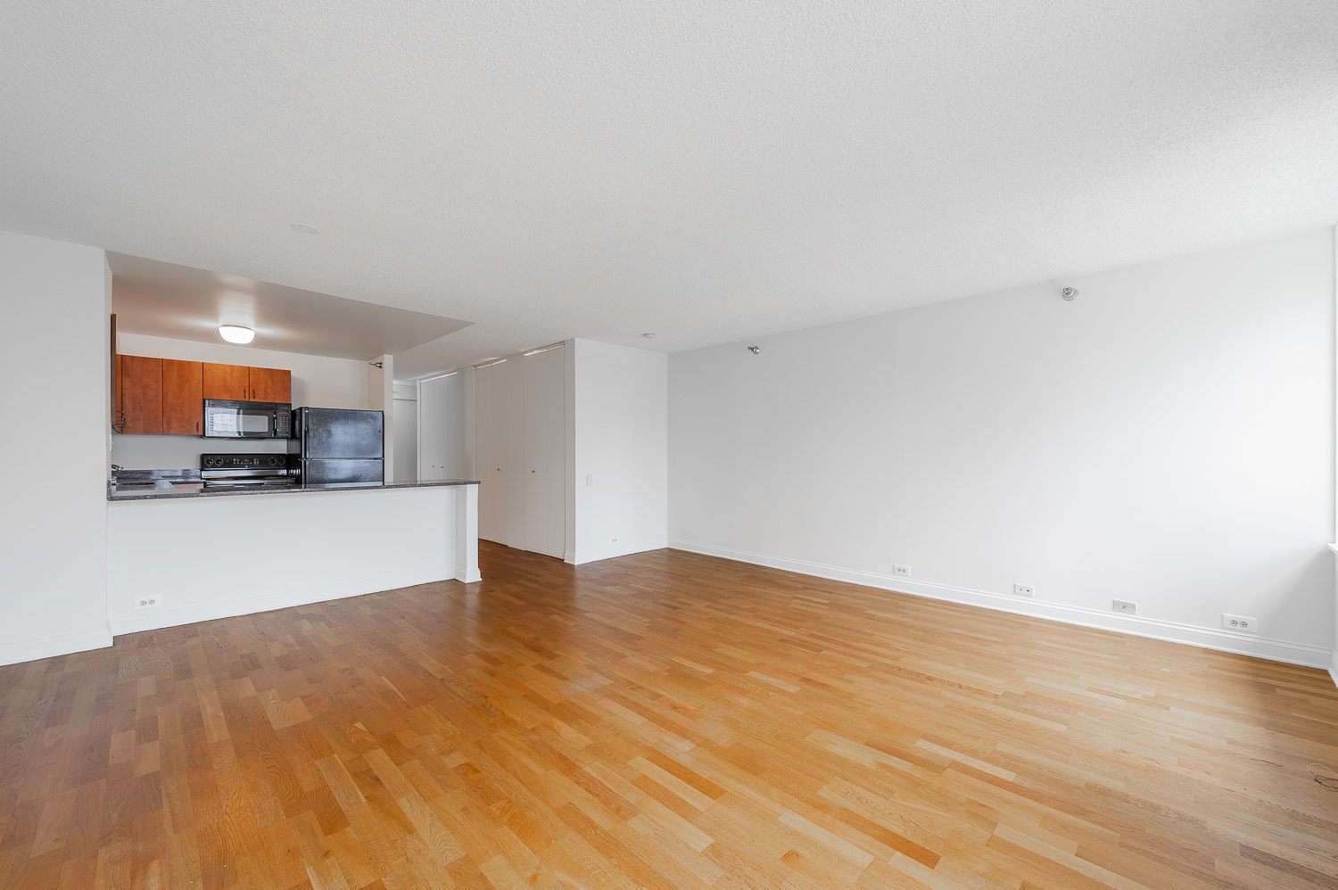 474 N Lake Shore Drive 2007 Property Photo 5
