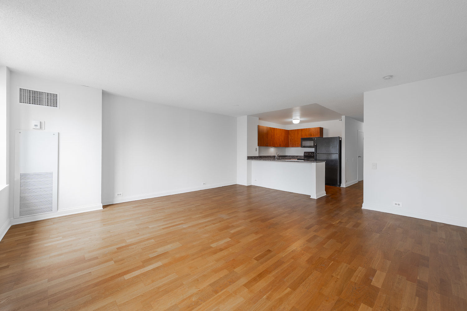 474 N Lake Shore Drive 2007 Property Photo 6