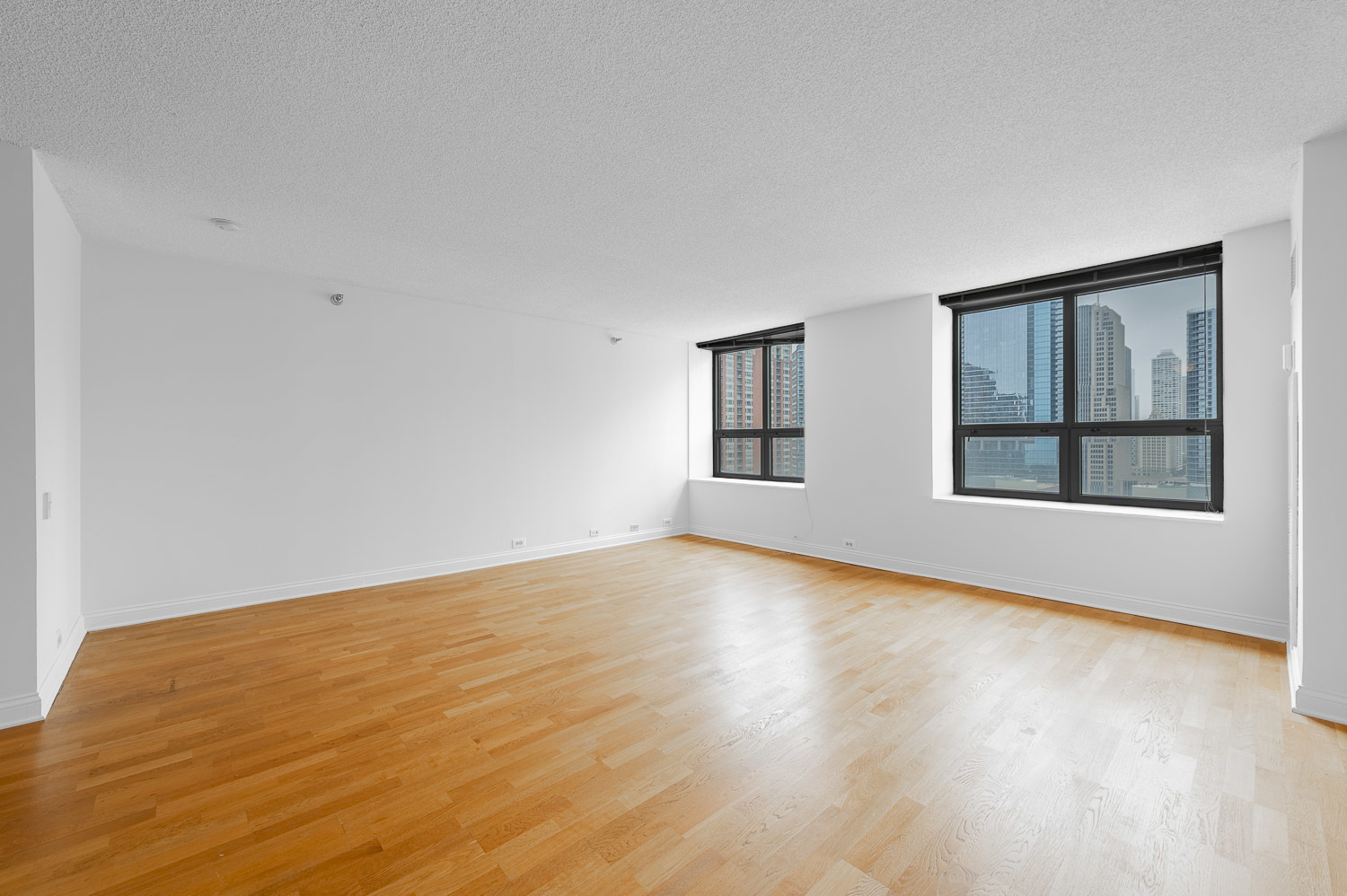 474 N Lake Shore Drive 2007 Property Photo 7