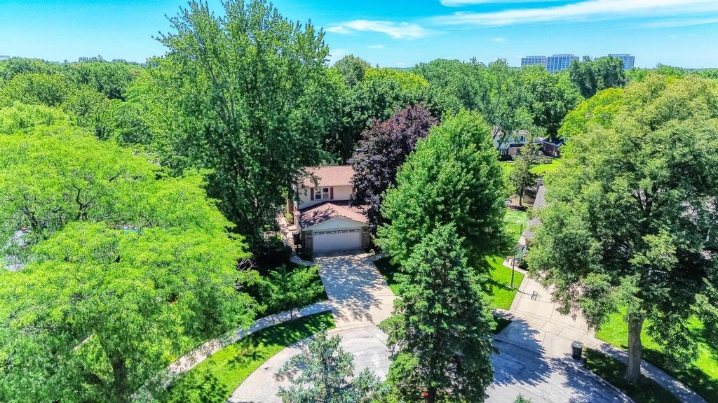 1119 W White Oak Street Property Photo 6