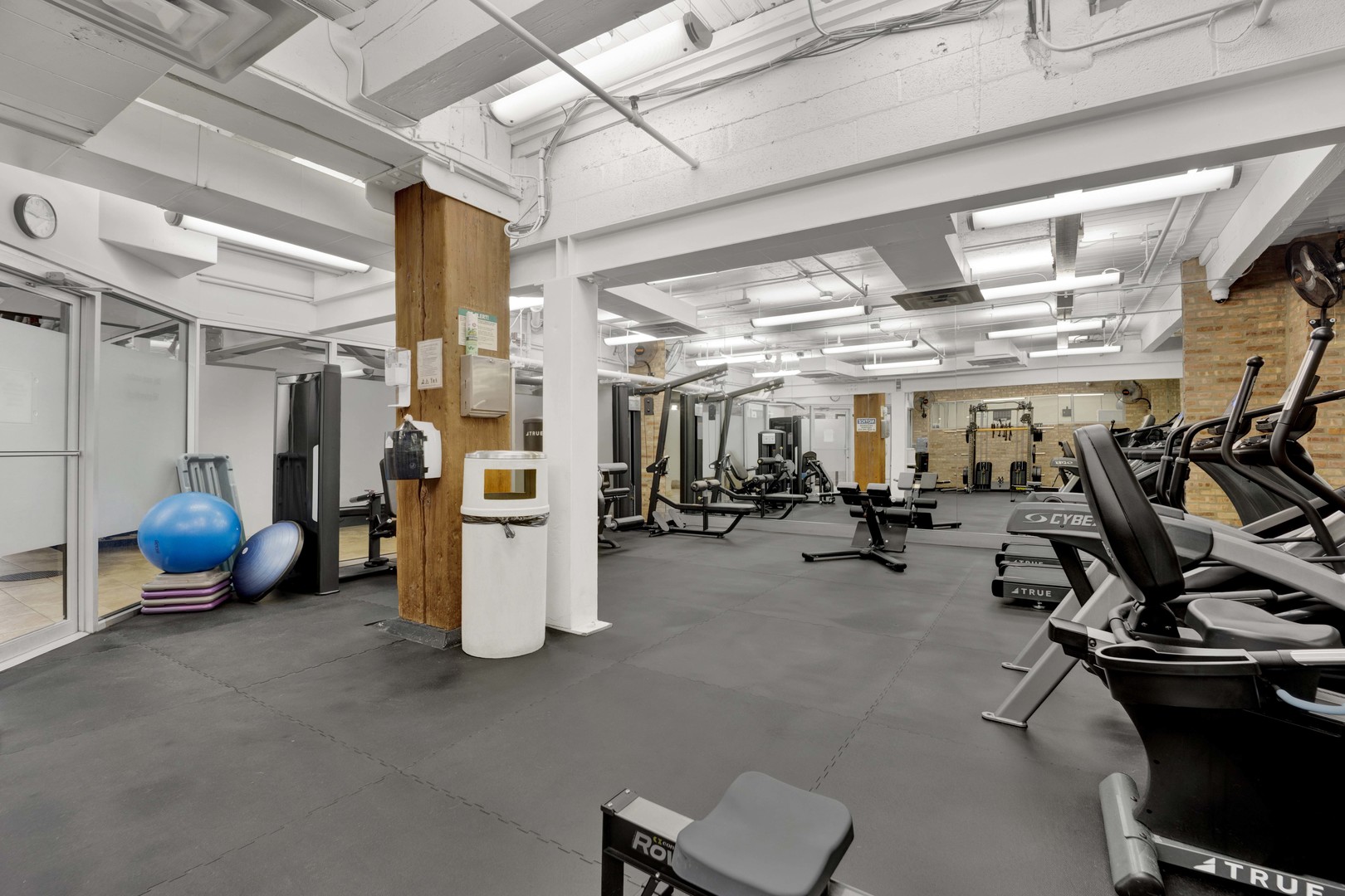 540 N Lake Shore Drive 225 Property Photo 24