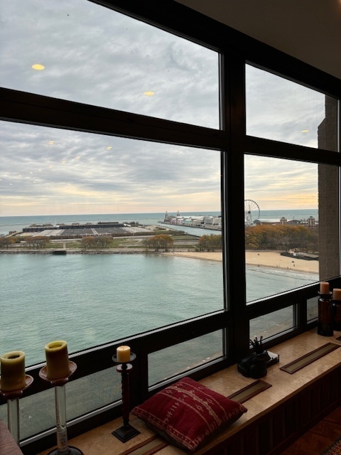 680 N Lake Shore Drive 1103 Property Photo 3