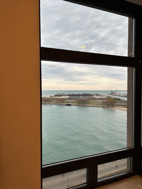 680 N Lake Shore Drive 1103 Property Photo 23