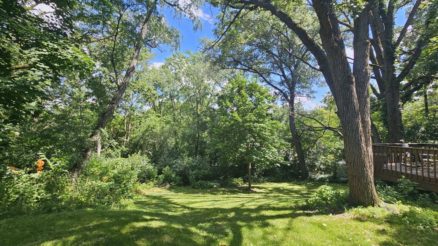 28w719 Barnes Avenue Property Photo 67