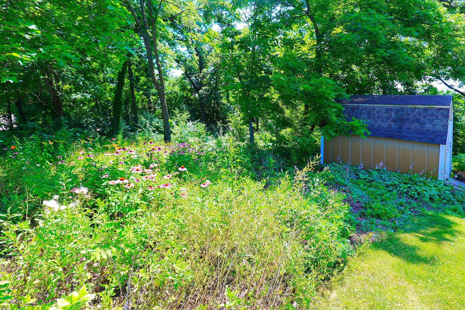 28w719 Barnes Avenue Property Photo 69