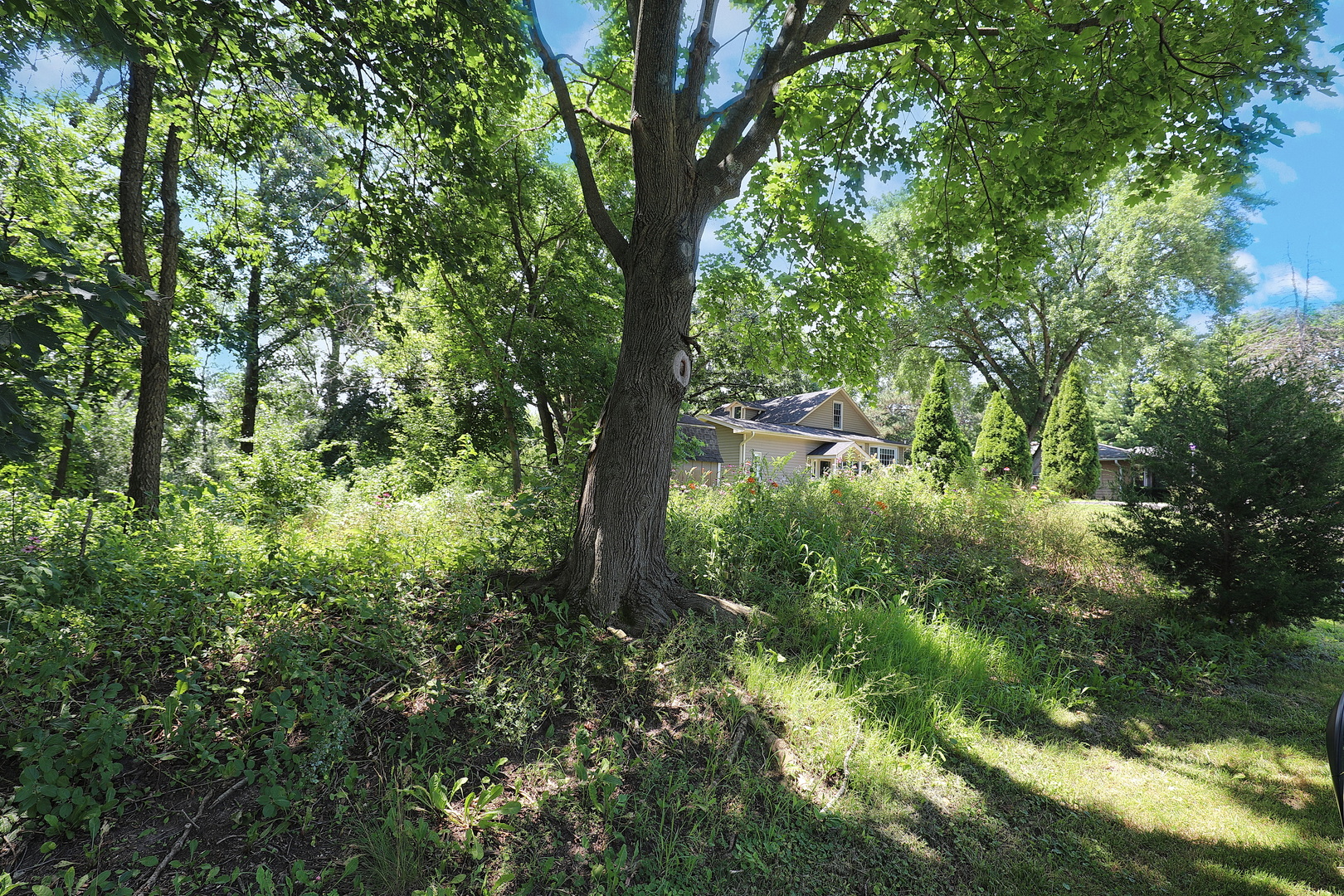 28w719 Barnes Avenue Property Photo 70