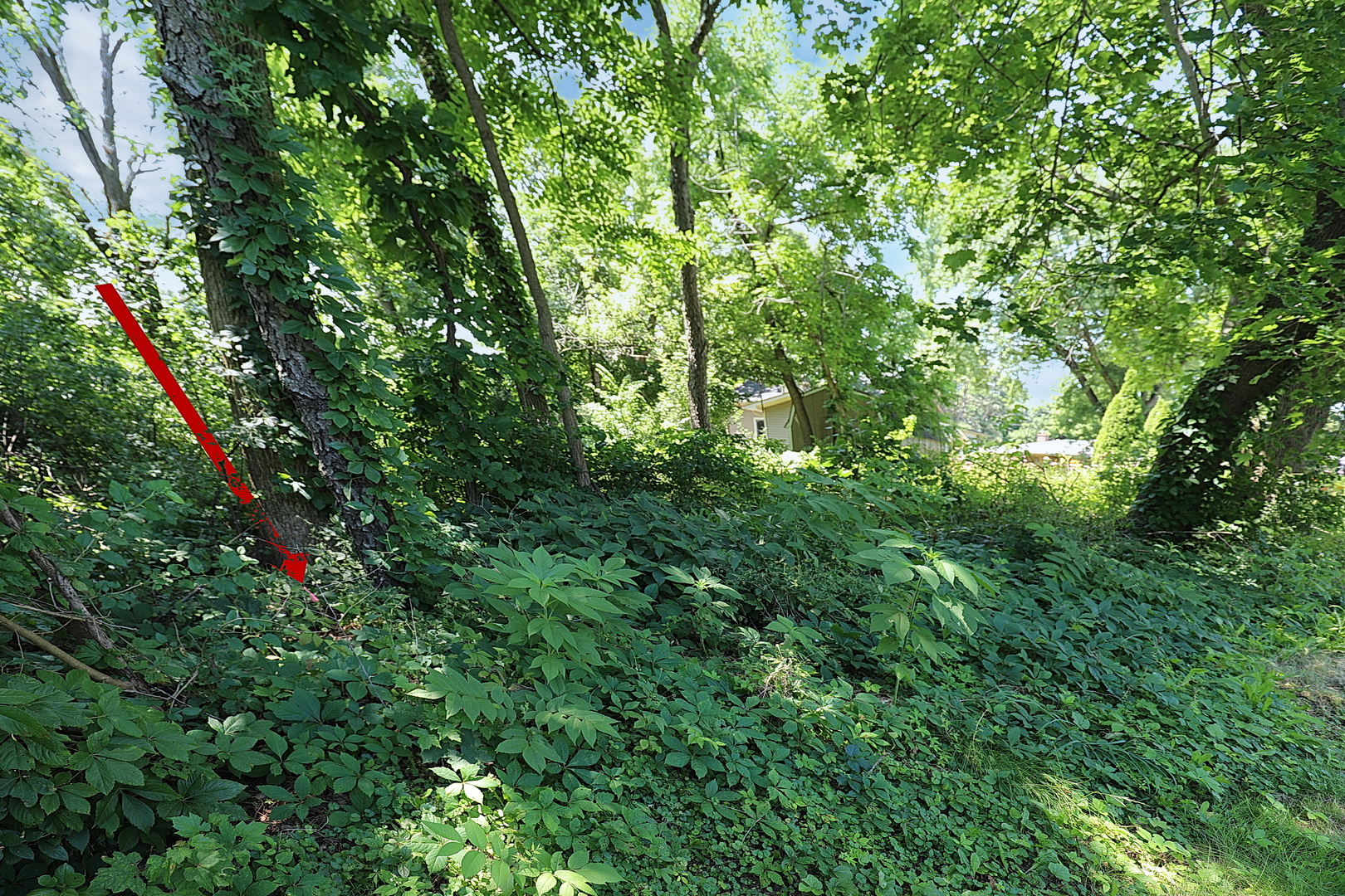 28w719 Barnes Avenue Property Photo 71