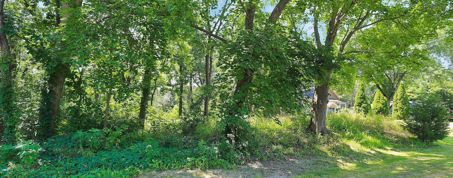28w719 Barnes Avenue Property Photo 72